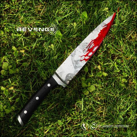 Revenge