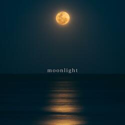 moonlight