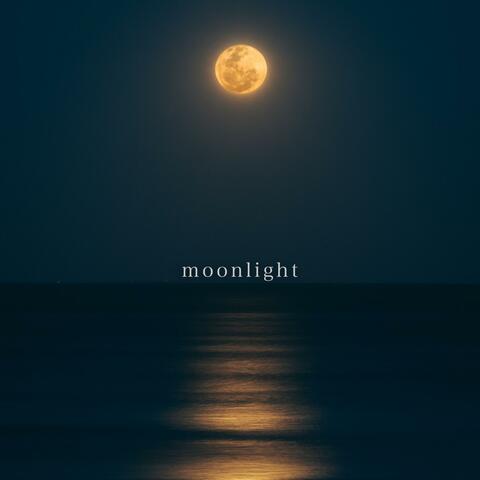 moonlight