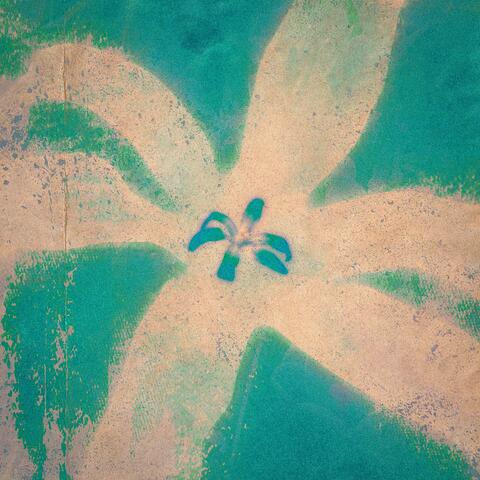 For You