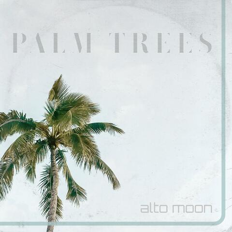 Palm Trees