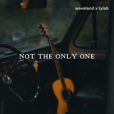 Not the Only One