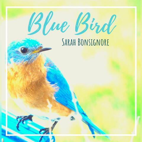 Blue Bird