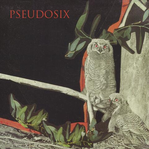 Pseudosix
