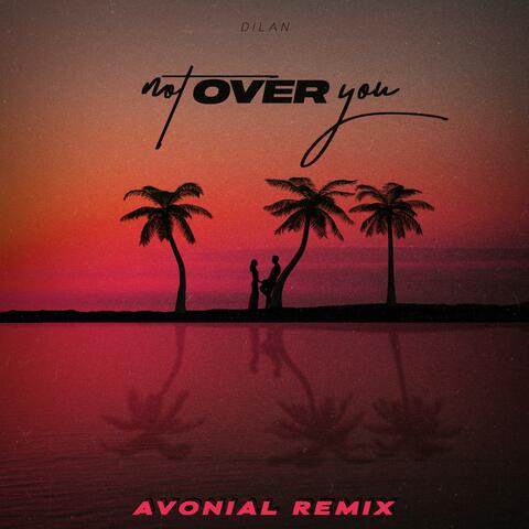 Not Over You (feat. Avonial)