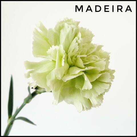 Madeira