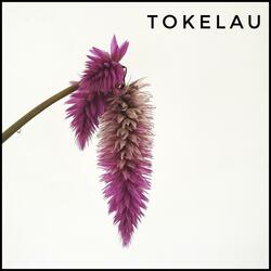 Tokelau