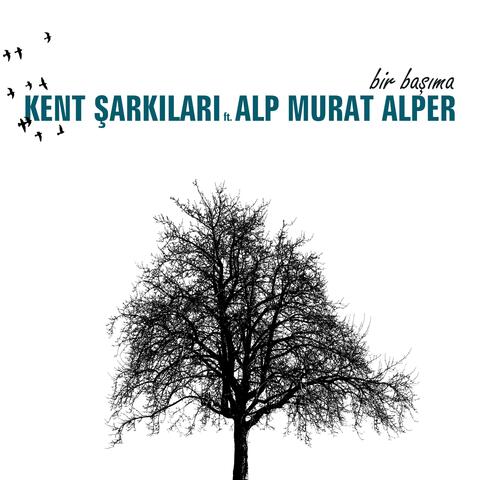 Bir Başıma (feat. Alp Murat Alper)