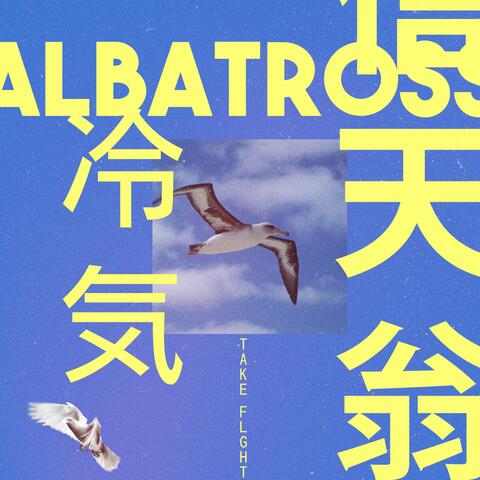 Albatross