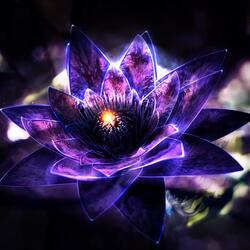 Black Lotus