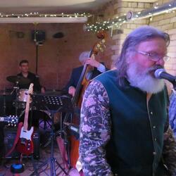 Blues in My Veins (The Lizzards)