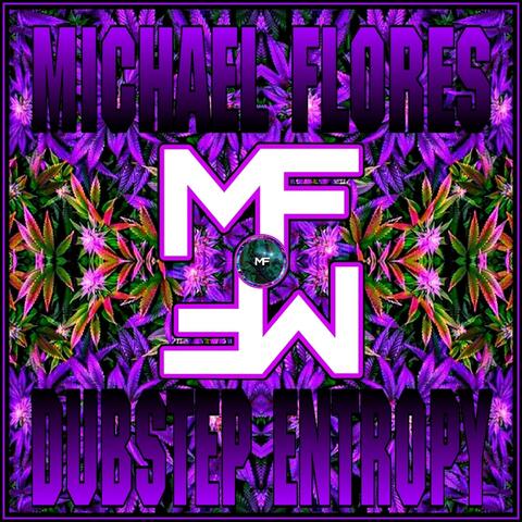 Dubstep Entropy