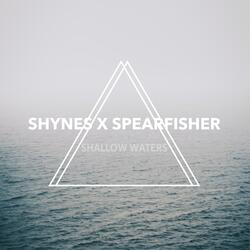 Shallow Waters (feat. Michael Shynes)