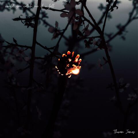 would you catch me if i fall