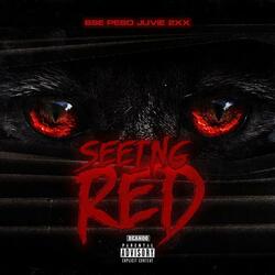Seeing Red (feat. Juvie2xx)
