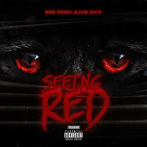 Seeing Red (feat. Juvie2xx)