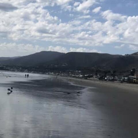 Have No Fear Summer Is Here