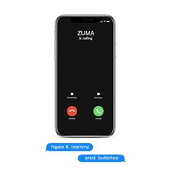 Zuma (feat. Ngale & Tnammy)
