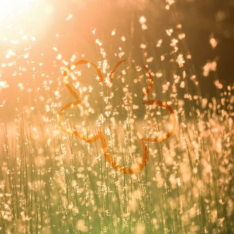 blissful sunlight (feat. Astronautilus)