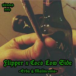 ERBA & MALINCONIA (feat. Flipper & Bemma)