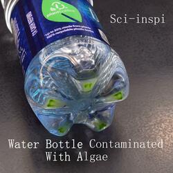 Water Bottle Contaminated With Algae