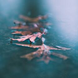 Floating Two (Piano Solo)