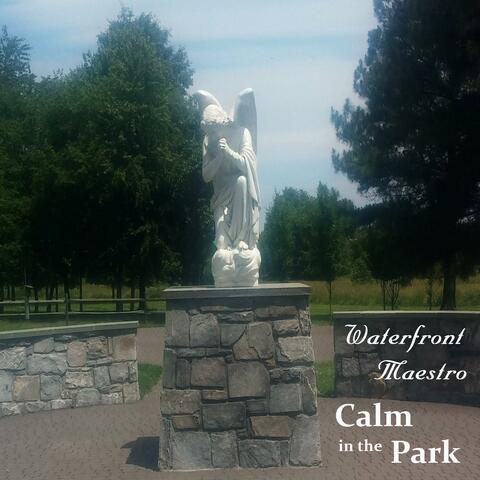 Calm in the Park