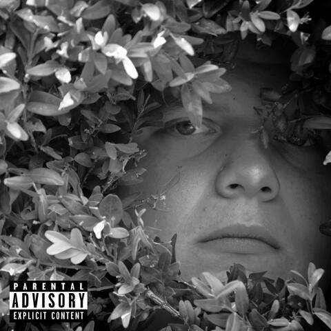 Bushwhack