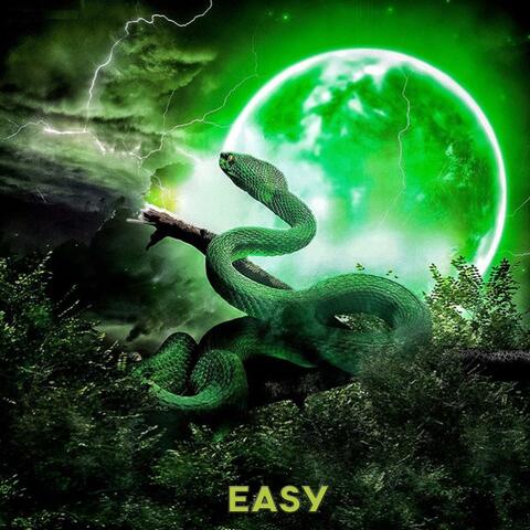 Easy (feat. Mushroom LX)