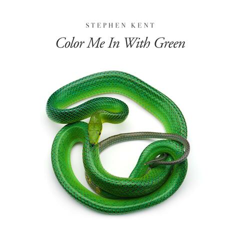 Stephen Kent