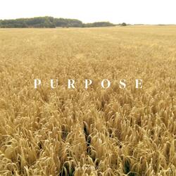 Purpose