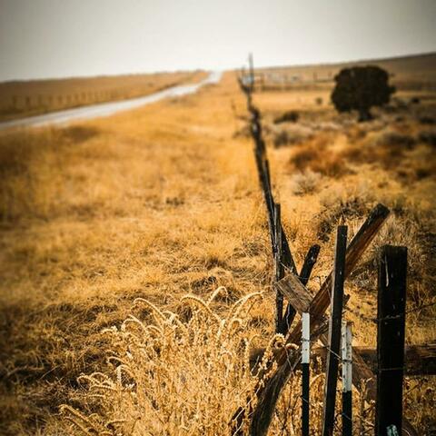 Barbed Wire