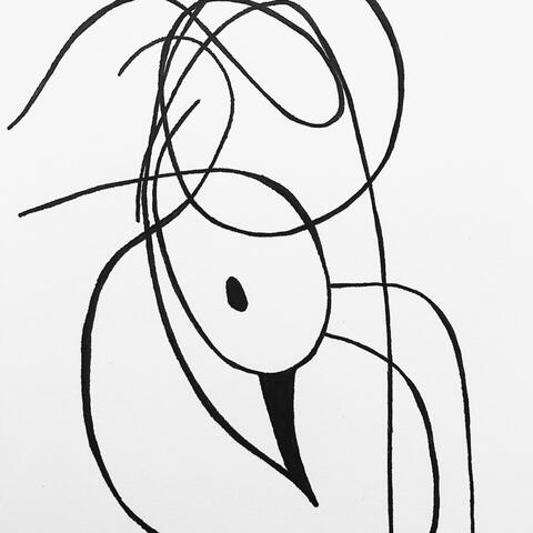 Sparrow Inside