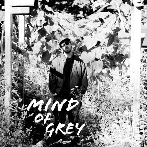 Mind of Grey