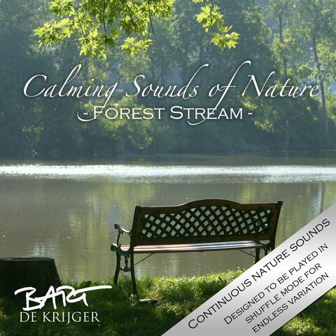 Calming Sounds of Nature (Forest Stream)