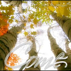 Glimpse Of Majesty