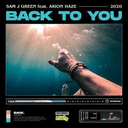 Back to You (feat. Arion Haze)