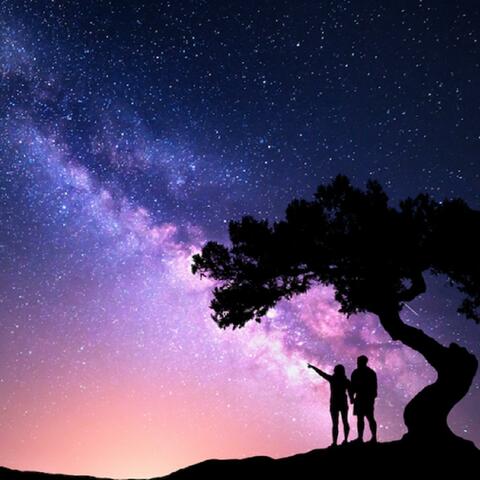 In de Nacht