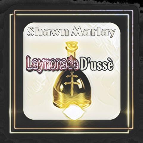 Laymonade D'usse