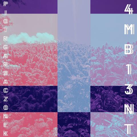 4mb13nt