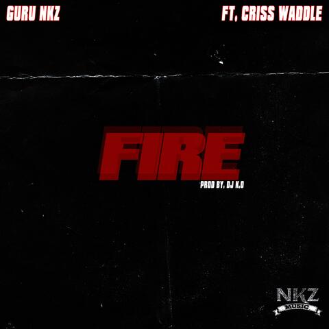 Fire (feat. Criss Waddle)