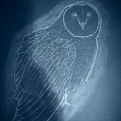 My Girlfriend Is the Moon