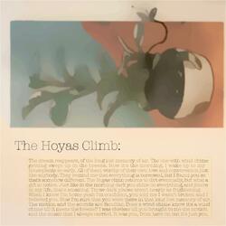 The Hoyas Climb