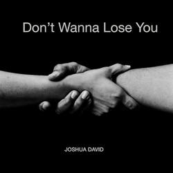 Don't Wanna Lose You