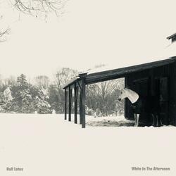 White in the Afternoon