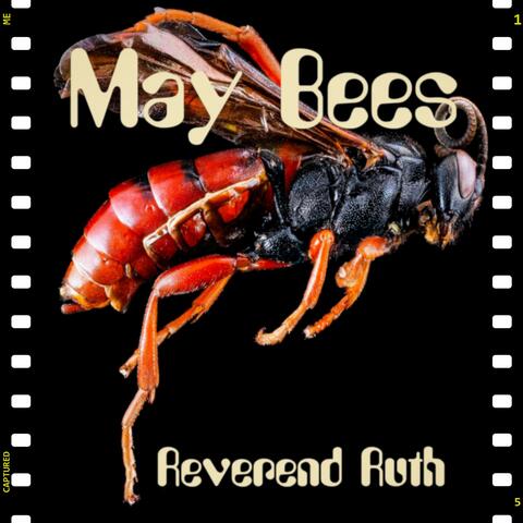 May Bees