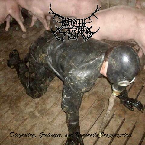 Disgusting, Grotesque, and Unusually Inappropriate