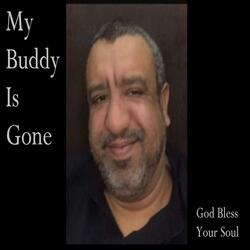 My Buddy is Gone