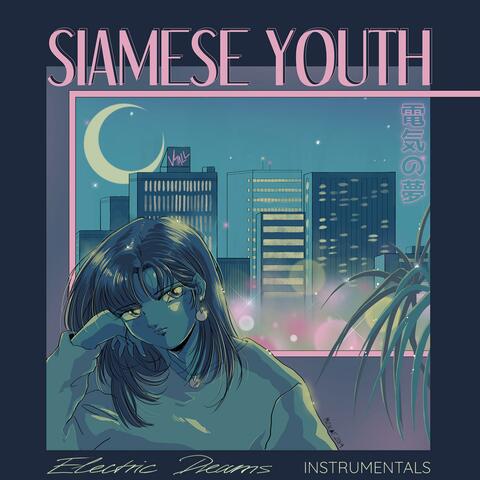 Electric Dreams (Instrumentals)