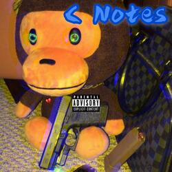 C Notes